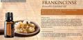 Frankincense plansza.JPEG
