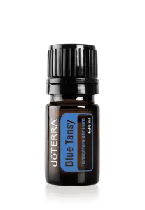 Blue Tansy