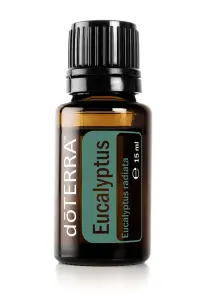 Eucalyptus