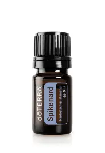 Spikenard