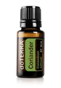 Coriander / Kolendra