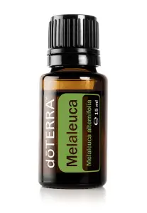 Tea Tree (Melaleuca)