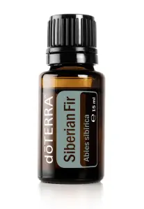 Siberian Fir