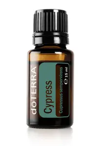 Cypress