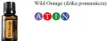 wild Orange.jpg