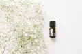 Roman Chamomile 1.jpg