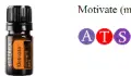 Motivate ATS 1.png
