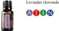 Lavender.jpg