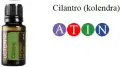 Cilantroo.jpg