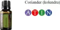 Coriander.jpg