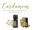 Cardamom 2.jpg