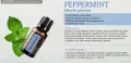 PeperMint.JPEG