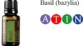 Bazil.jpg