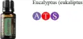 Eukaliptus.jpg