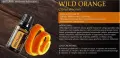 Wild Orange.JPEG