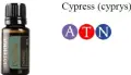 cypres.jpg