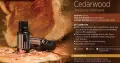 cederwood.jpg