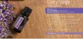 Clary sage 1.jpg
