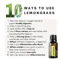 _Lemongrass 1.png