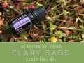 Clary Sage Essential Oil_Facebook.png