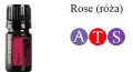 Rose2.jpg