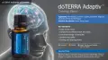 Adaptiv Presentation (One Drop).jpg