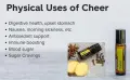 cherr 3.jpg