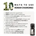 Roman Chamomile 10-90551.png