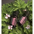 geranium.png