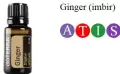 Ginger.jpg