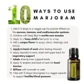 Marjoram-87116.png