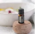 Sandalwood hawaiien 1.jpg