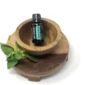 Spearmint 2.png