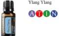 Ylang.jpg