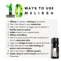 Melissa (1)-87480.png